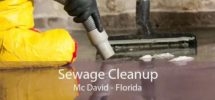 Sewage Cleanup Mc David - Florida