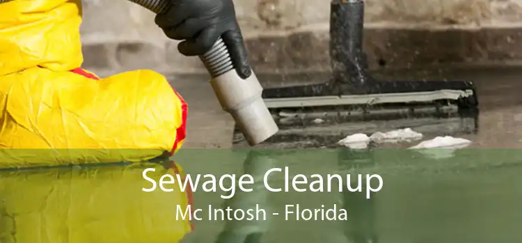 Sewage Cleanup Mc Intosh - Florida