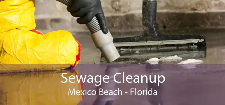 Sewage Cleanup Mexico Beach - Florida