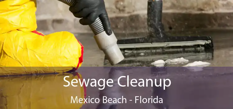 Sewage Cleanup Mexico Beach - Florida