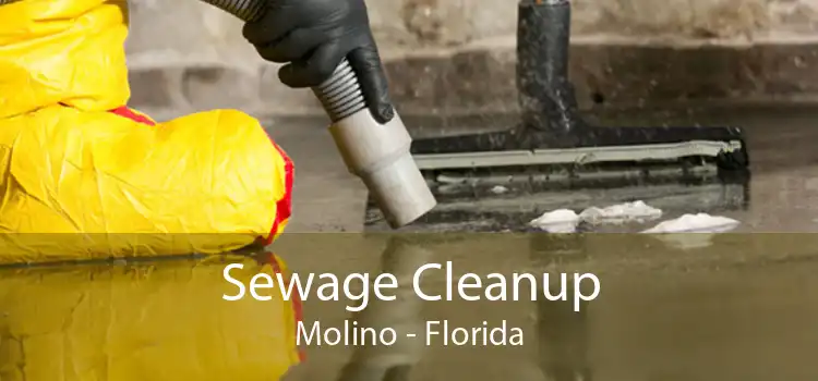 Sewage Cleanup Molino - Florida