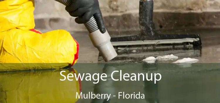 Sewage Cleanup Mulberry - Florida