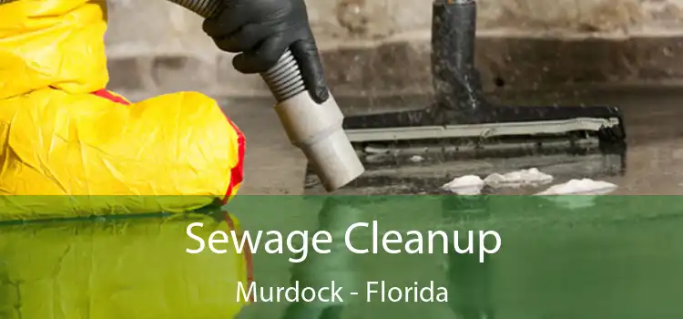 Sewage Cleanup Murdock - Florida