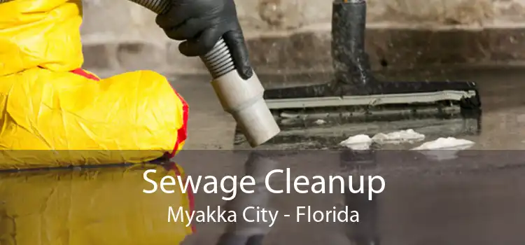 Sewage Cleanup Myakka City - Florida
