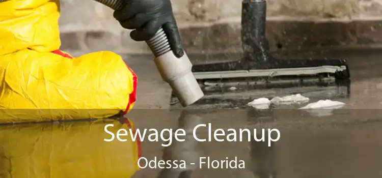 Sewage Cleanup Odessa - Florida