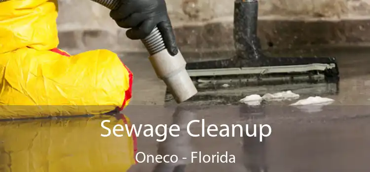 Sewage Cleanup Oneco - Florida