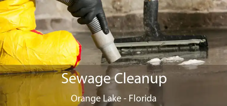 Sewage Cleanup Orange Lake - Florida