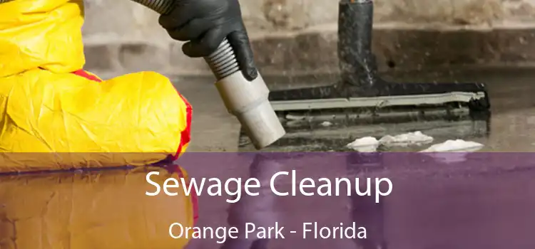 Sewage Cleanup Orange Park - Florida