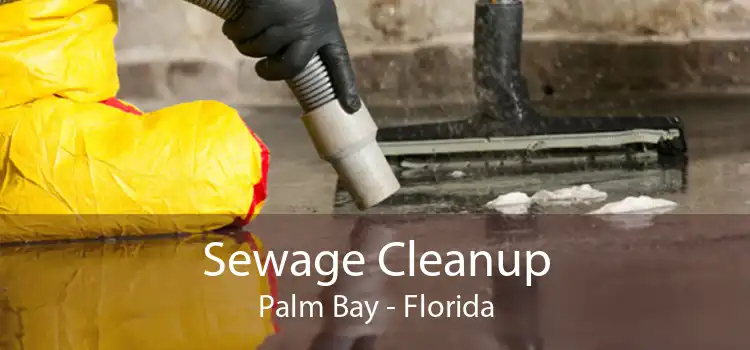 Sewage Cleanup Palm Bay - Florida