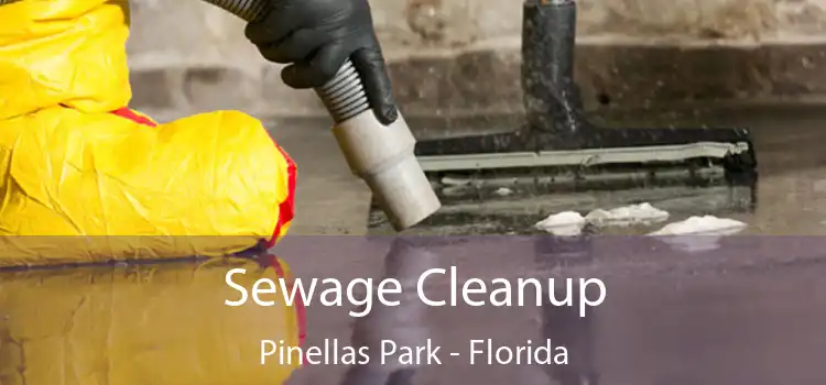 Sewage Cleanup Pinellas Park - Florida