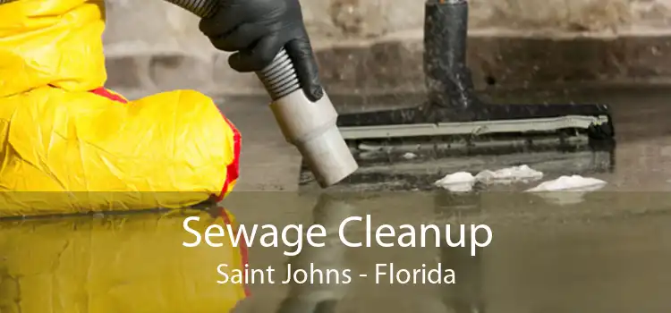 Sewage Cleanup Saint Johns - Florida