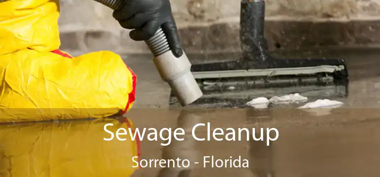 Sewage Cleanup Sorrento - Florida