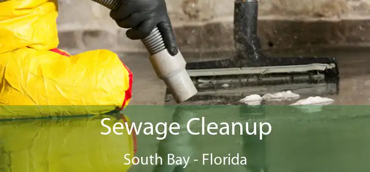 Sewage Cleanup South Bay - Florida