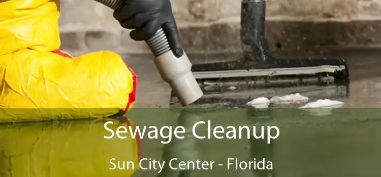 Sewage Cleanup Sun City Center - Florida