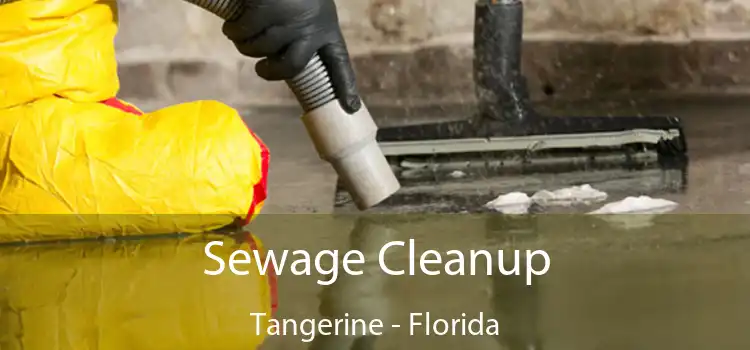 Sewage Cleanup Tangerine - Florida