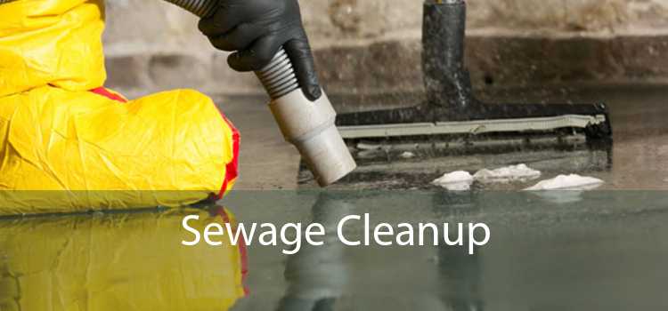 Sewage Cleanup 