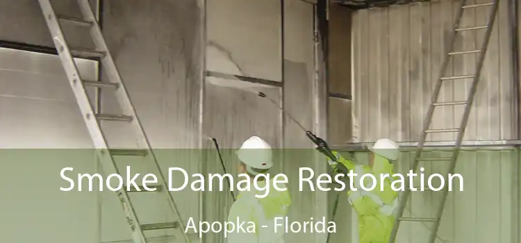 Smoke Damage Restoration Apopka - Florida