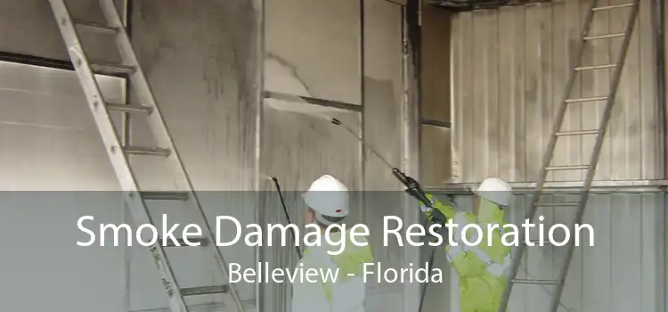 Smoke Damage Restoration Belleview - Florida