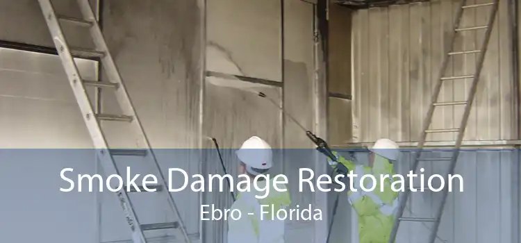 Smoke Damage Restoration Ebro - Florida
