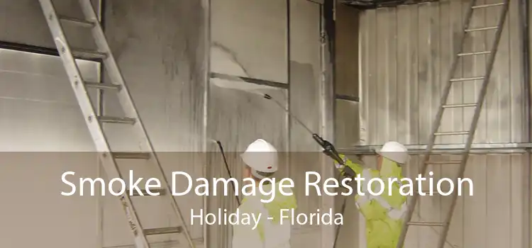 Smoke Damage Restoration Holiday - Florida
