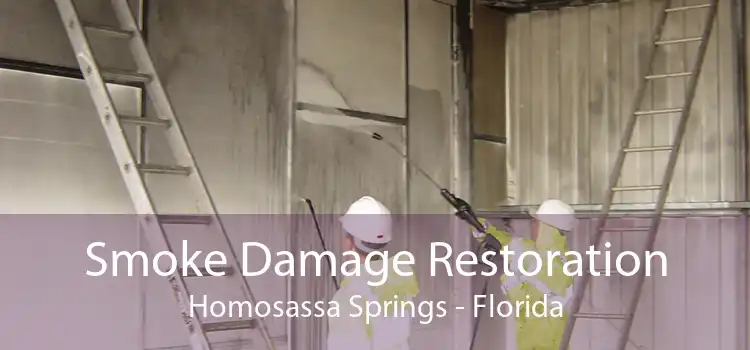 Smoke Damage Restoration Homosassa Springs - Florida