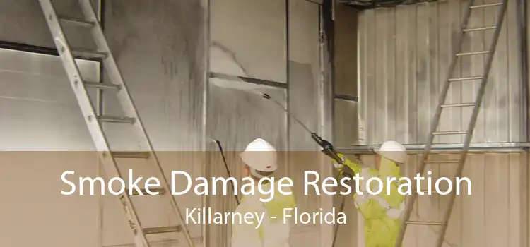 Smoke Damage Restoration Killarney - Florida