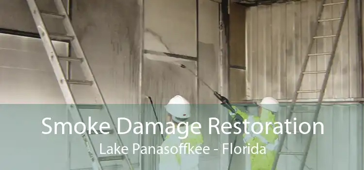 Smoke Damage Restoration Lake Panasoffkee - Florida