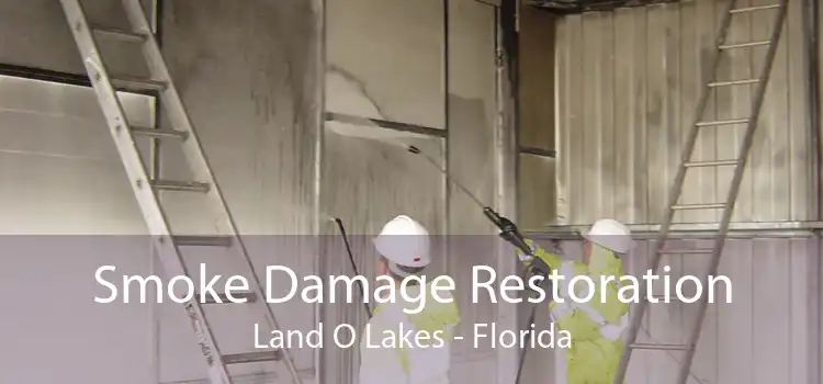 Smoke Damage Restoration Land O Lakes - Florida