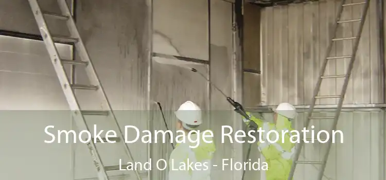 Smoke Damage Restoration Land O Lakes - Florida