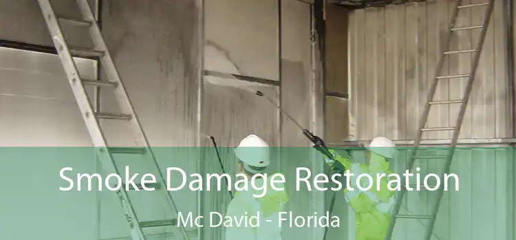 Smoke Damage Restoration Mc David - Florida