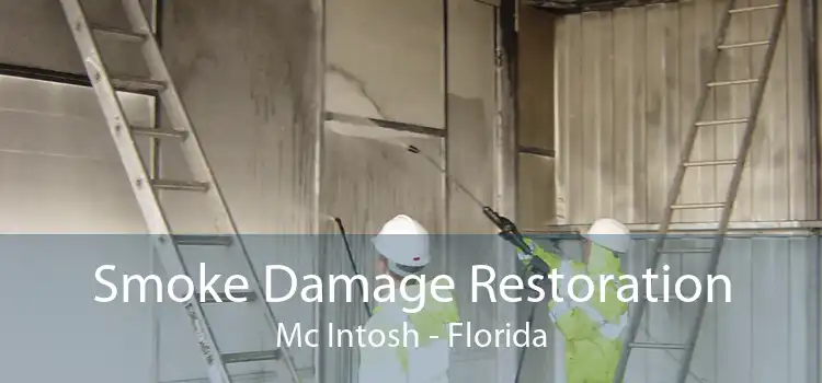 Smoke Damage Restoration Mc Intosh - Florida