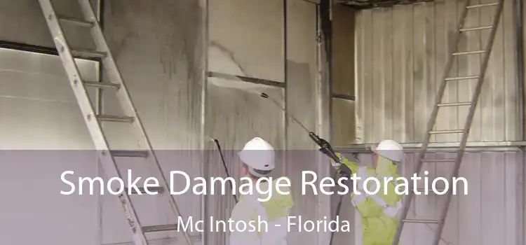 Smoke Damage Restoration Mc Intosh - Florida