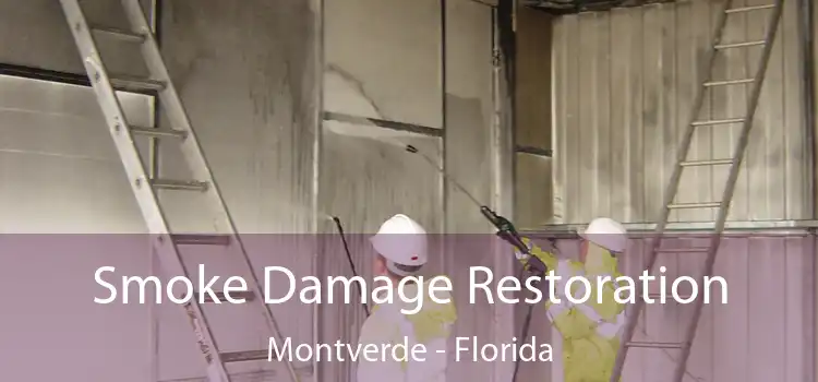 Smoke Damage Restoration Montverde - Florida