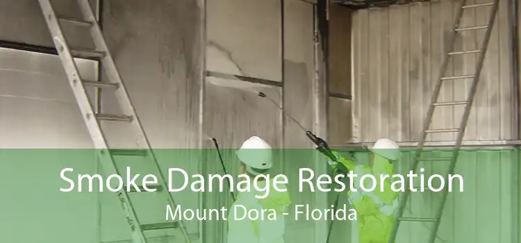 Smoke Damage Restoration Mount Dora - Florida