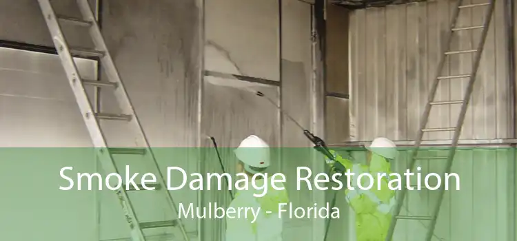 Smoke Damage Restoration Mulberry - Florida
