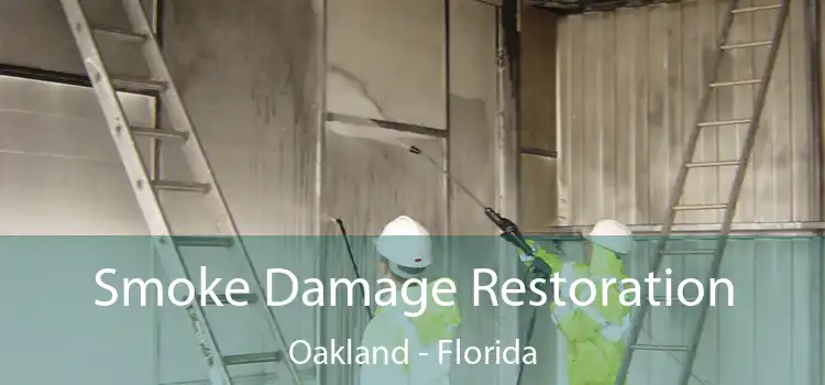 Smoke Damage Restoration Oakland - Florida