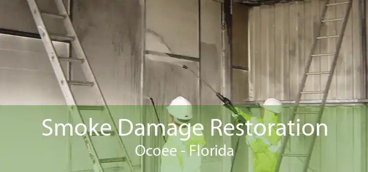 Smoke Damage Restoration Ocoee - Florida
