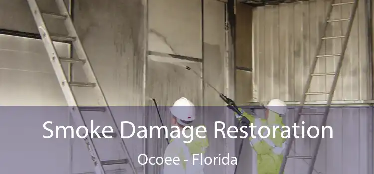 Smoke Damage Restoration Ocoee - Florida