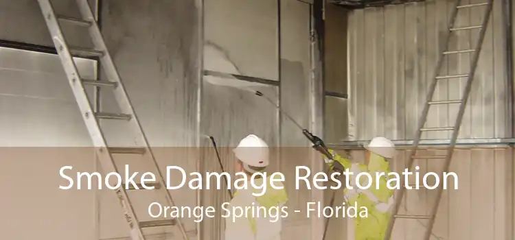 Smoke Damage Restoration Orange Springs - Florida