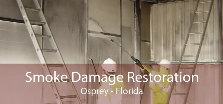 Smoke Damage Restoration Osprey - Florida