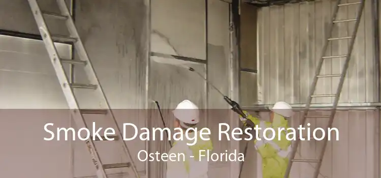 Smoke Damage Restoration Osteen - Florida