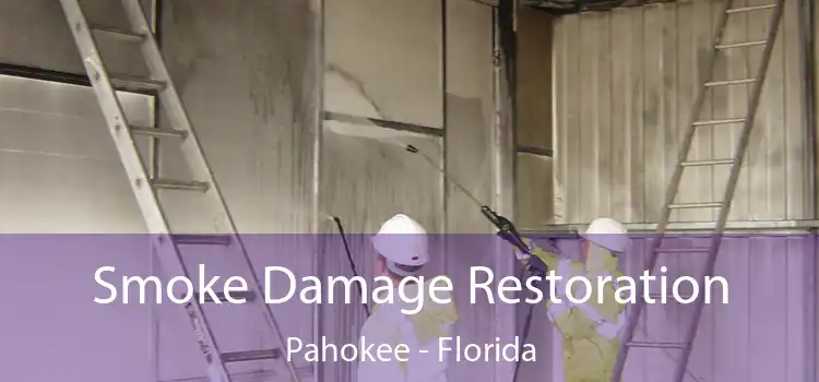 Smoke Damage Restoration Pahokee - Florida