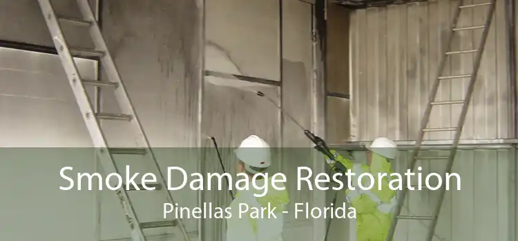 Smoke Damage Restoration Pinellas Park - Florida
