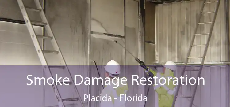 Smoke Damage Restoration Placida - Florida