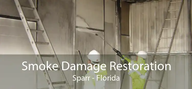 Smoke Damage Restoration Sparr - Florida