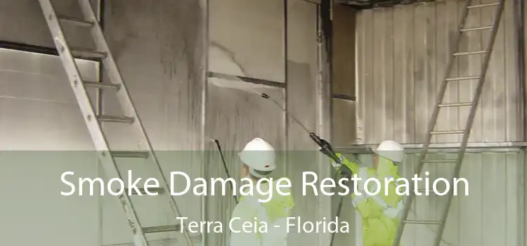 Smoke Damage Restoration Terra Ceia - Florida