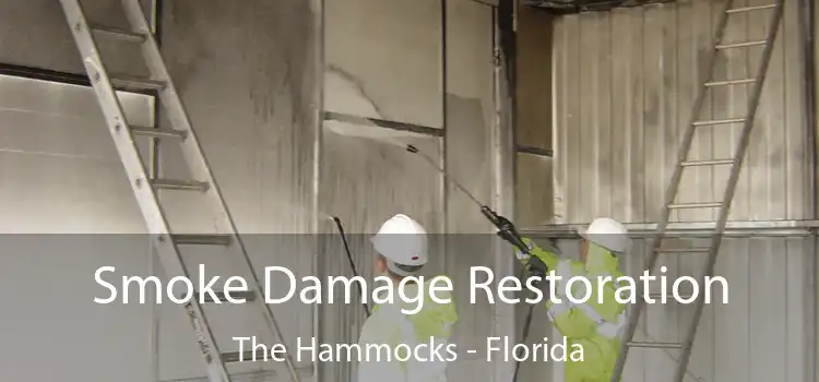 Smoke Damage Restoration The Hammocks - Florida