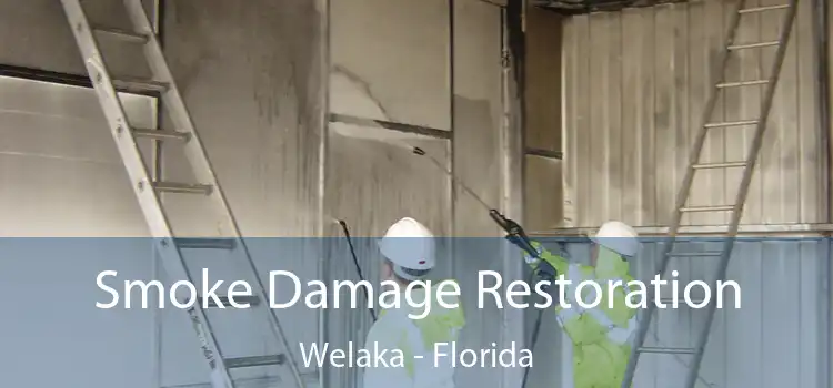 Smoke Damage Restoration Welaka - Florida