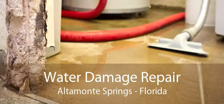 Water Damage Repair Altamonte Springs - Florida