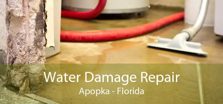 Water Damage Repair Apopka - Florida